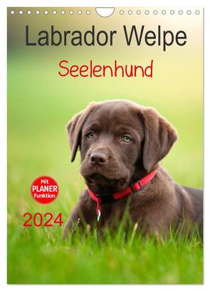 Labrador Welpe – Seelenhund (Wandkalender 2024 DIN A4 hoch), CALVENDO Monatskalender von Schiller,  Petra