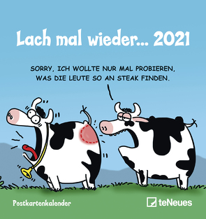 Lach mal wieder… 2021 – Postkarten-Kalender – Kalender-mit-Postkarten – zum-raustrennen – 16×17 von Holzach,  Alexander