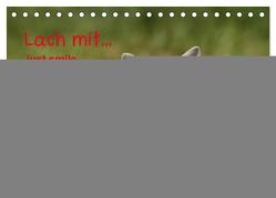 lach mit…just smile (Tischkalender 2024 DIN A5 quer), CALVENDO Monatskalender von Hutfluss,  Jeanette