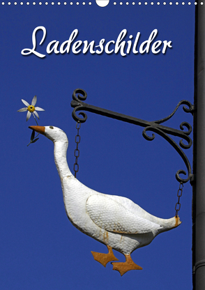 Ladenschilder (Wandkalender 2020 DIN A3 hoch) von Berg,  Martina