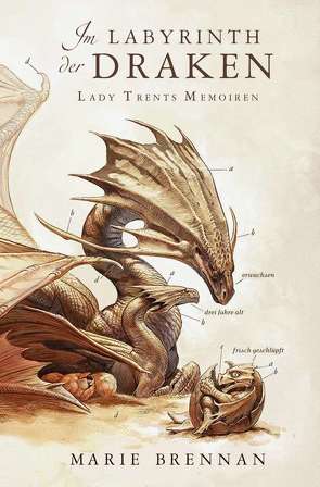 Lady Trents Memoiren 4: Im Labyrinth der Draken von Blendl,  Andrea, Brennan,  Marie