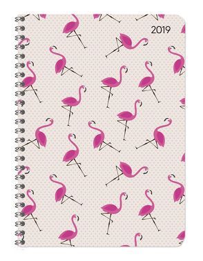 Ladytimer Ringbuch Flamingos 2019 von ALPHA EDITION