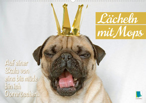 Lächeln mit Mops (Wandkalender 2023 DIN A2 quer) von CALVENDO