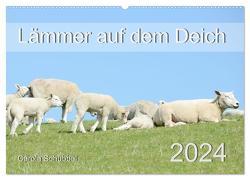 Lämmer auf dem Deich (Wandkalender 2024 DIN A2 quer), CALVENDO Monatskalender von Schubbel,  Carola