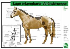 Lage erkennbarer Veränderungen von Deutsche Reiterliche Vereinigung e.V. (FN), Hertsch,  Bodo, Spenlen,  Uwe