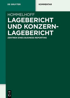 Lagebericht und Konzernlagebericht von Hommelhoff,  Peter