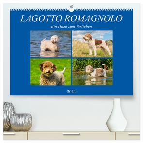 Lagotto Romagnolo – Ein Hund zum Verlieben (hochwertiger Premium Wandkalender 2024 DIN A2 quer), Kunstdruck in Hochglanz