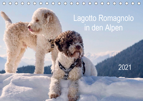 Lagotto Romagnolo in den Alpen 2021 (Tischkalender 2021 DIN A5 quer) von wuffclick-pic