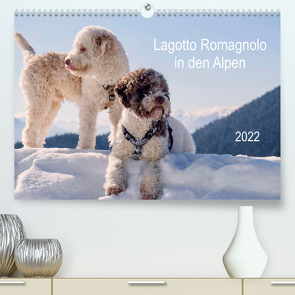 Lagotto Romagnolo in den Alpen 2022 (Premium, hochwertiger DIN A2 Wandkalender 2022, Kunstdruck in Hochglanz) von wuffclick-pic