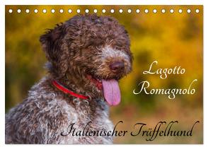 Lagotto Romagnolo – Italienischer Trüffelhund (Tischkalender 2024 DIN A5 quer), CALVENDO Monatskalender von Starick,  Sigrid