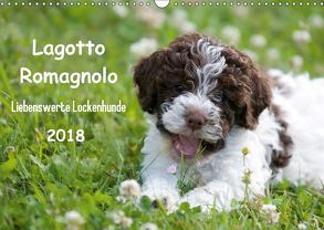 Lagotto Romagnolo – Liebenswerte Lockenhunde – 2018 (Wandkalender 2018 DIN A3 quer) von Backes,  Ulrich, www.dogcellent.de