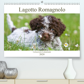 Lagotto Romagnolo – Liebenswerte Lockenhunde – 2020 (Premium, hochwertiger DIN A2 Wandkalender 2020, Kunstdruck in Hochglanz) von Backes,  Ulrich, www.dogcellent.de