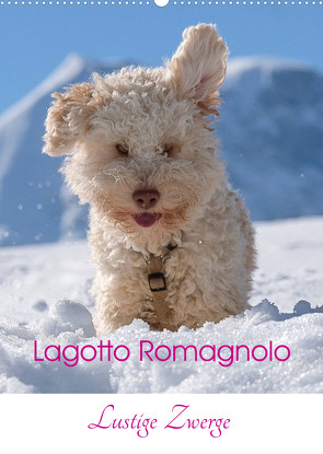 Lagotto Romagnolo – Lustige Zwerge (Wandkalender 2023 DIN A2 hoch) von wuffclick-pic