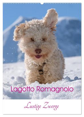 Lagotto Romagnolo – Lustige Zwerge (Wandkalender 2024 DIN A2 hoch), CALVENDO Monatskalender von Wuffclick-pic,  Wuffclick-pic