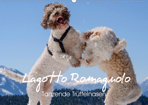 Lagotto Romagnolo Tanzende Trüffelnasen (Wandkalender 2021 DIN A2 quer) von wuffclick-pic