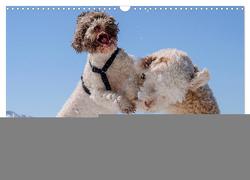 Lagotto Romagnolo Tanzende Trüffelnasen (Wandkalender 2024 DIN A3 quer), CALVENDO Monatskalender von Wuffclick-pic,  Wuffclick-pic