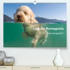 Lagotto Romagnolo – Wasserspiele (Premium, hochwertiger DIN A2 Wandkalender 2021, Kunstdruck in Hochglanz) von wuffclick-pic