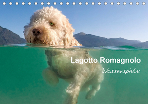 Lagotto Romagnolo – Wasserspiele (Tischkalender 2021 DIN A5 quer) von wuffclick-pic