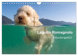 Lagotto Romagnolo – Wasserspiele (Wandkalender 2024 DIN A4 quer), CALVENDO Monatskalender von Wuffclick-pic,  Wuffclick-pic