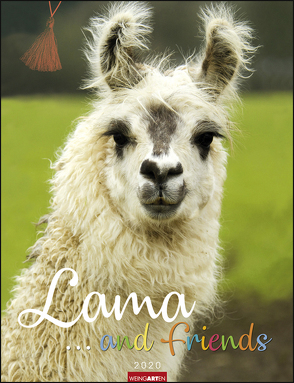 Lama and friends Kalender 2020 von Weingarten