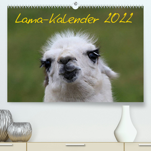 Lama-Kalender 2022 (Premium, hochwertiger DIN A2 Wandkalender 2022, Kunstdruck in Hochglanz) von Witkowski,  Bernd