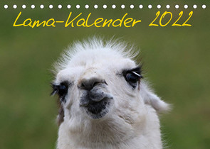 Lama-Kalender 2022 (Tischkalender 2022 DIN A5 quer) von Witkowski,  Bernd