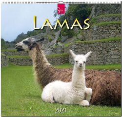 Lamas