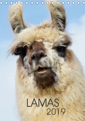 LAMAS (Tischkalender 2019 DIN A5 hoch) von Albert,  Jutta