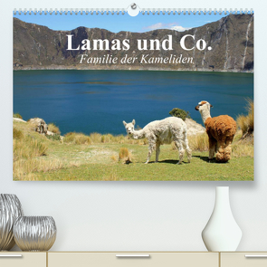 Lamas und Co. Familie der Kameliden (Premium, hochwertiger DIN A2 Wandkalender 2022, Kunstdruck in Hochglanz) von Stanzer,  Elisabeth