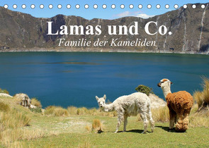 Lamas und Co. Familie der Kameliden (Tischkalender 2022 DIN A5 quer) von Stanzer,  Elisabeth