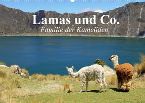 Lamas und Co. Familie der Kameliden (Wandkalender 2022 DIN A2 quer) von Stanzer,  Elisabeth