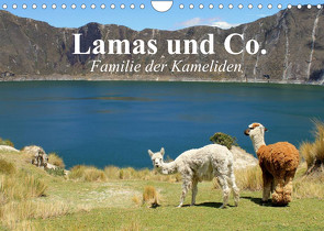 Lamas und Co. Familie der Kameliden (Wandkalender 2022 DIN A4 quer) von Stanzer,  Elisabeth