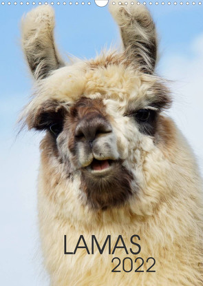 LAMAS (Wandkalender 2022 DIN A3 hoch) von Albert,  Jutta