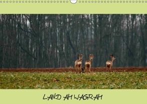 LAND AM WAGRAMAT-Version (Wandkalender 2018 DIN A3 quer) von Bodinifoto