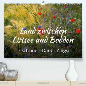 Land zwischen Ostsee und Bodden, Fischland – Darß – Zingst (Premium, hochwertiger DIN A2 Wandkalender 2023, Kunstdruck in Hochglanz) von Reichenauer,  Maria