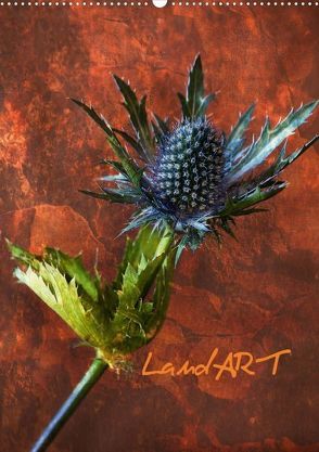 LandART (Posterbuch DIN A2 hoch) von Brehm,  Anke