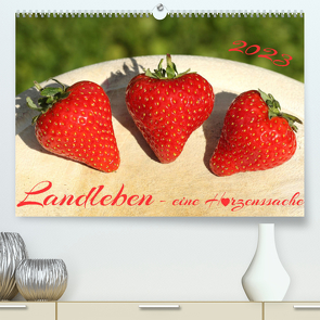 Landleben – eine Herzenssache (Premium, hochwertiger DIN A2 Wandkalender 2023, Kunstdruck in Hochglanz) von Heepmann,  Karolin