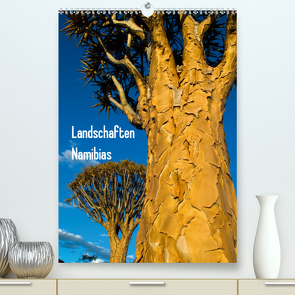 Landschaften Namibias (Premium, hochwertiger DIN A2 Wandkalender 2021, Kunstdruck in Hochglanz) von Scholz,  Frauke