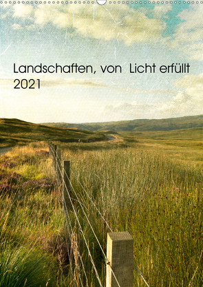 Landschaften, von Licht erfüllt (Wandkalender 2021 DIN A2 hoch) von Brooks-Dammann,  Susan