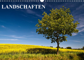 Landschaften (Wandkalender 2023 DIN A3 quer) von Ködder,  Rico