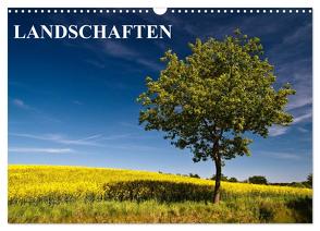 Landschaften (Wandkalender 2024 DIN A3 quer), CALVENDO Monatskalender von Ködder,  Rico