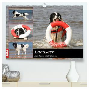 Landseer – Das Wasser ist ihr Element (hochwertiger Premium Wandkalender 2024 DIN A2 quer), Kunstdruck in Hochglanz von Mielewczyk und Brigitte Weil,  Barbara