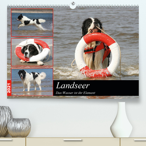 Landseer – Das Wasser ist ihr Element (Premium, hochwertiger DIN A2 Wandkalender 2021, Kunstdruck in Hochglanz) von Mielewczyk und Brigitte Weil,  Barbara