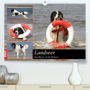 Landseer – Das Wasser ist ihr Element (Premium, hochwertiger DIN A2 Wandkalender 2022, Kunstdruck in Hochglanz) von Mielewczyk und Brigitte Weil,  Barbara