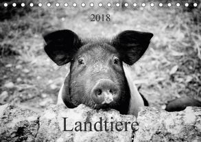 Landtiere (Tischkalender 2018 DIN A5 quer) von Dietz,  Peter