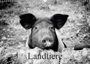 Landtiere (Wandkalender 2018 DIN A3 quer) von Dietz,  Peter