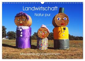 Landwirtschaft Natur pur Mecklenburg-Vorpommern (Wandkalender 2024 DIN A3 quer), CALVENDO Monatskalender von BALZEREK,  REINHARD