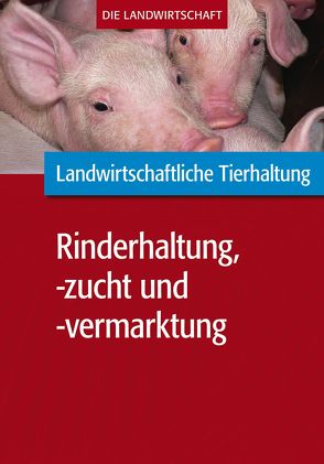 Landwirtschaftliche Tierhaltung: Landwirtschaftliche Rinderhaltung, -zucht und -vermarktung von VELA