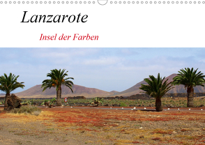 Lanzarote – Insel der Farben (Wandkalender 2021 DIN A3 quer) von helia