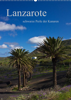 Lanzarote (Wandkalender 2023 DIN A2 hoch) von Ergler,  Anja